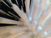 Brushing