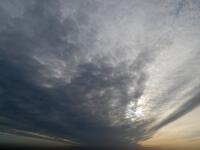DSC 3223